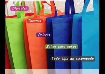 Mascarillas y Bolsas personalizadas en Temuco – Todo Bolsas 2.0