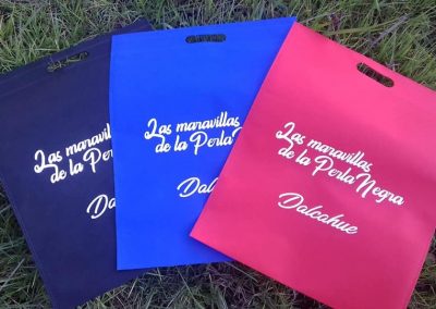 Mascarillas y Bolsas personalizadas en Temuco – Todo Bolsas 2.0